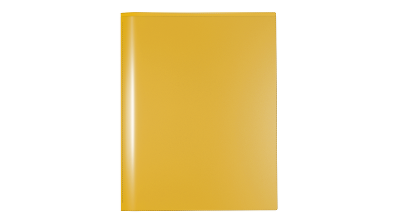 Nicky's® CPA Version 10 Folders