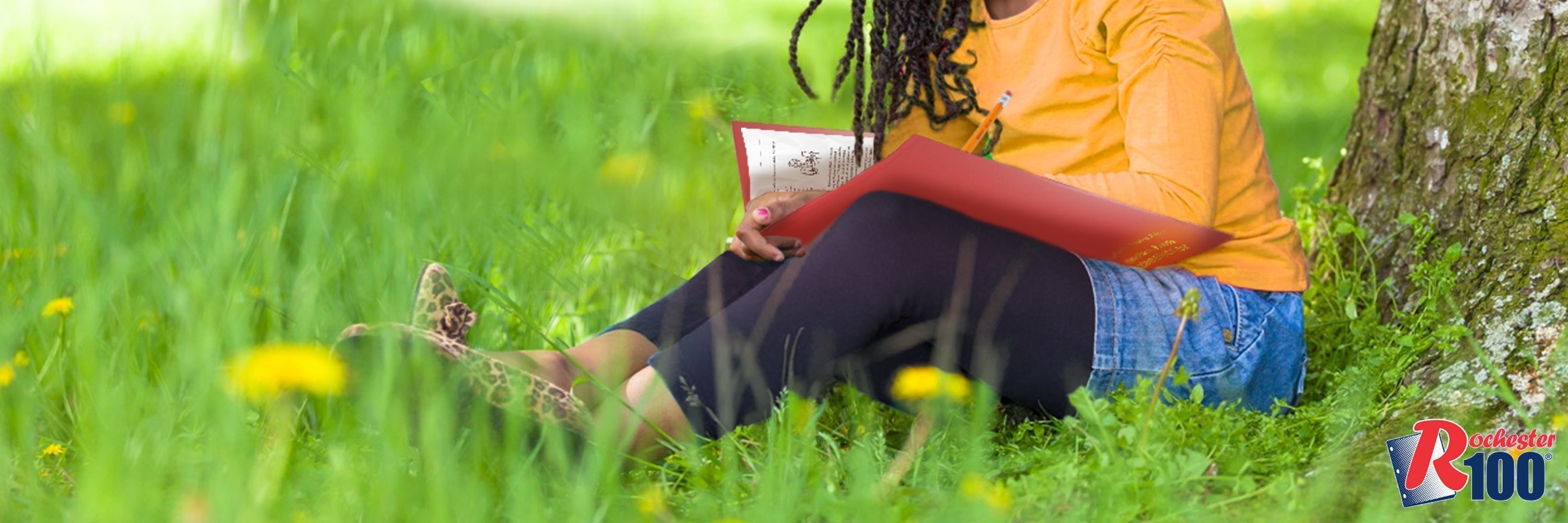 Poly Folders vs. Paper Folders: Which One Lasts Longer?