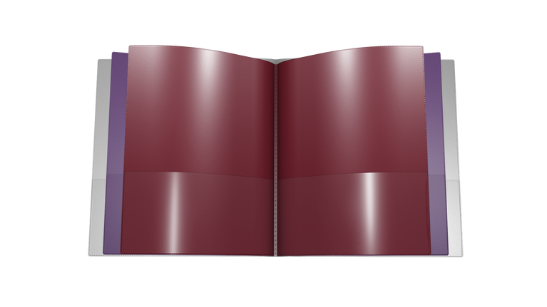 Nicky's® 10-in-1 Customized Folders