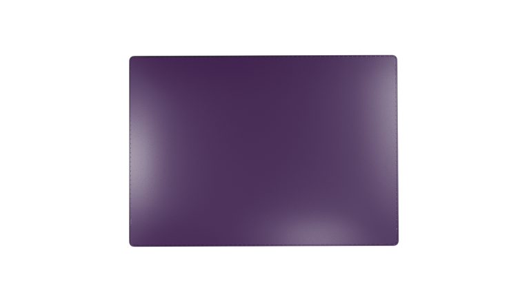 Auto insurance Holders FS-20 (16 color options) Free Sample