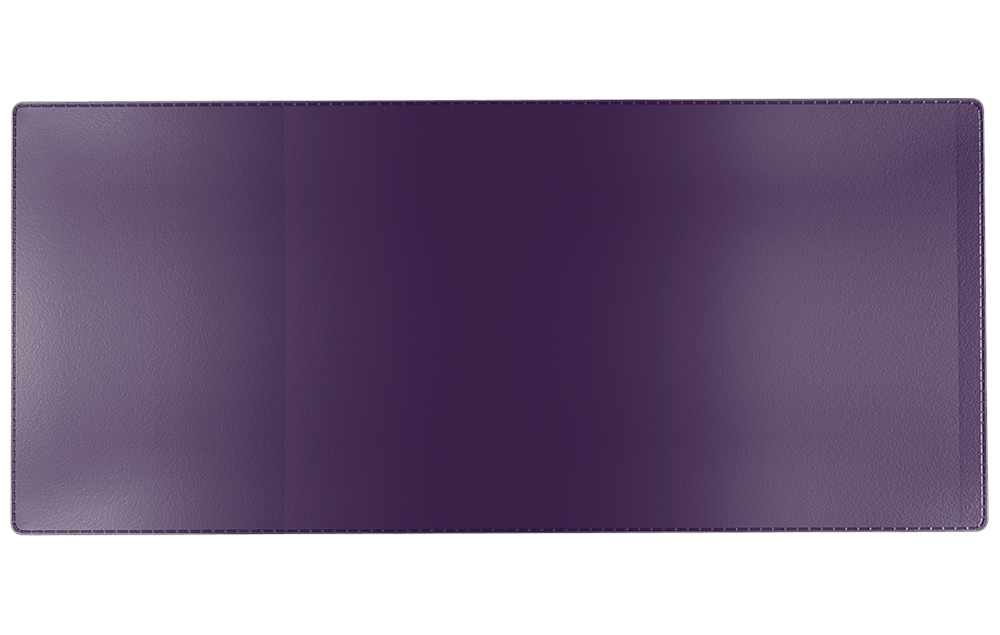 Auto Insurance Form Holders (INS-30)